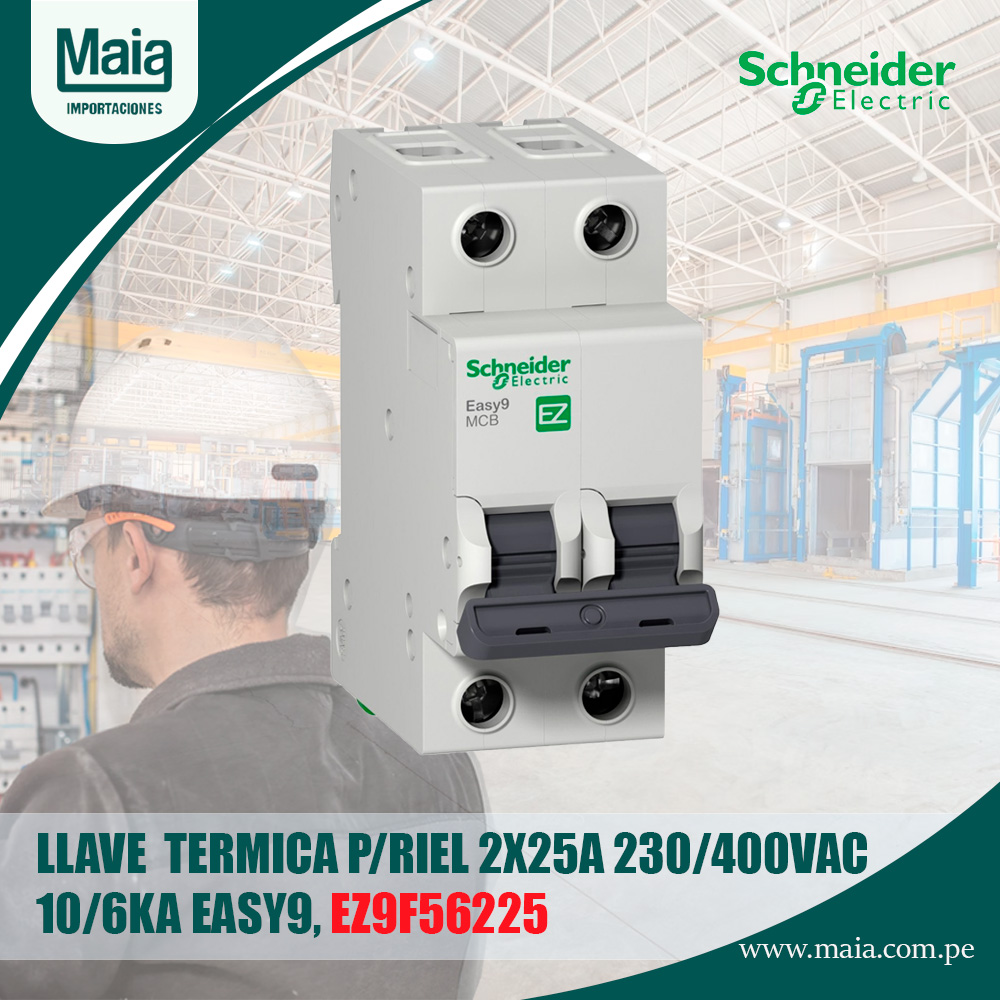 LLAVE TERMICA 2X25A EZ9F56225